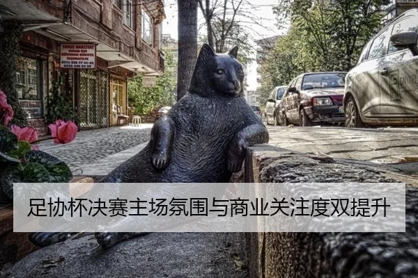 足协杯决赛主场氛围与商业关注度双提升